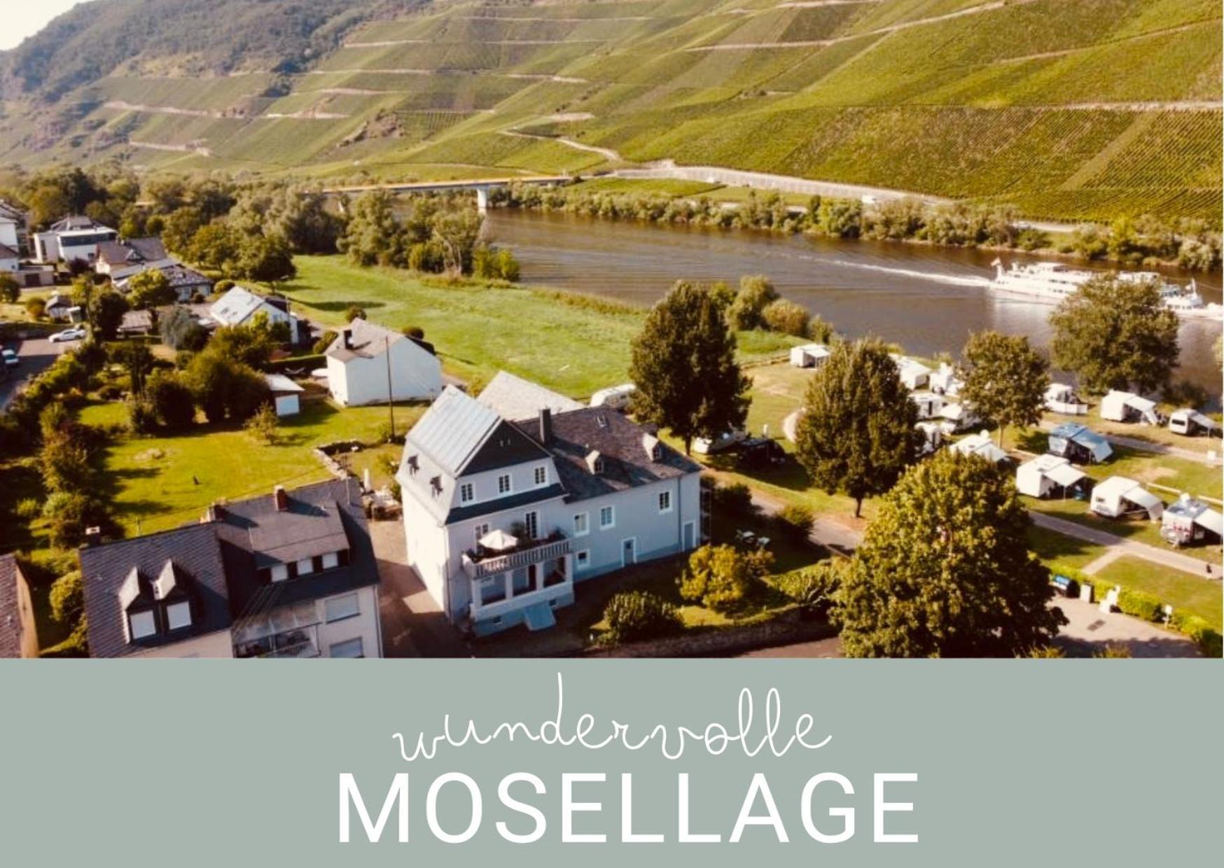 Gut Foersterlay - Exklusive Boutique Apartments Im Historischen Winzerhaus Direkt An Der Mosel Losnich Exterior photo
